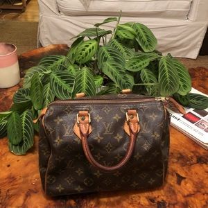 Louis Vuitton Speedy bag 25